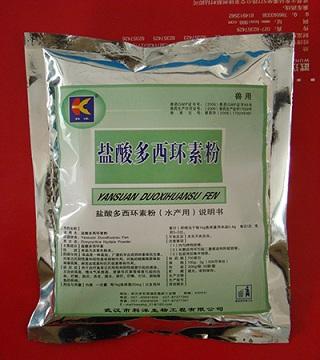 盐酸多西环素-武汉科洋生物